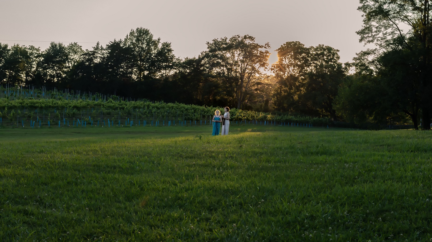 vineyard_sunset Girls in the vineyard
