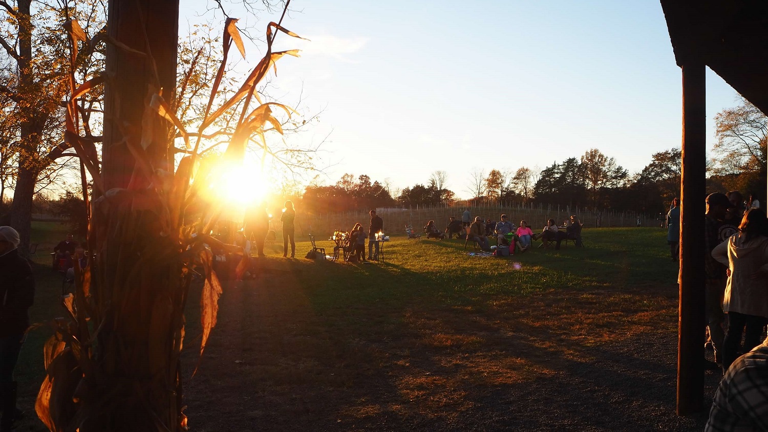 The sun setting in the fall from the tasting room