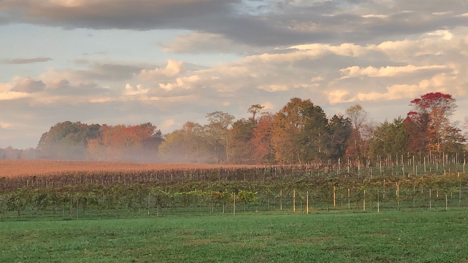 Vineyard Sunset Featuring five acres onsite