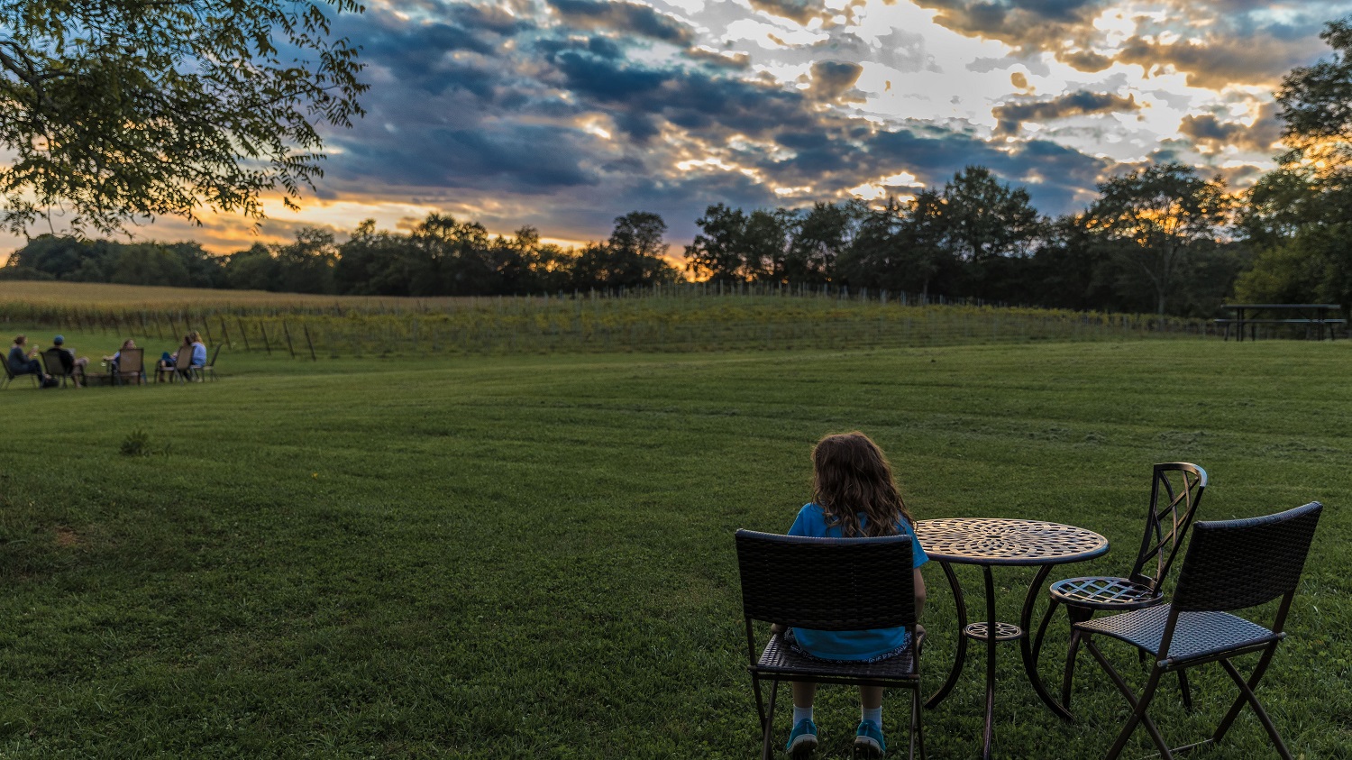 Child looking out over vineyard