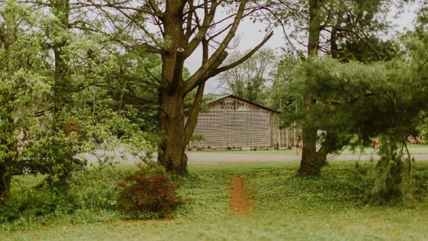 The tasting room seen from the pines