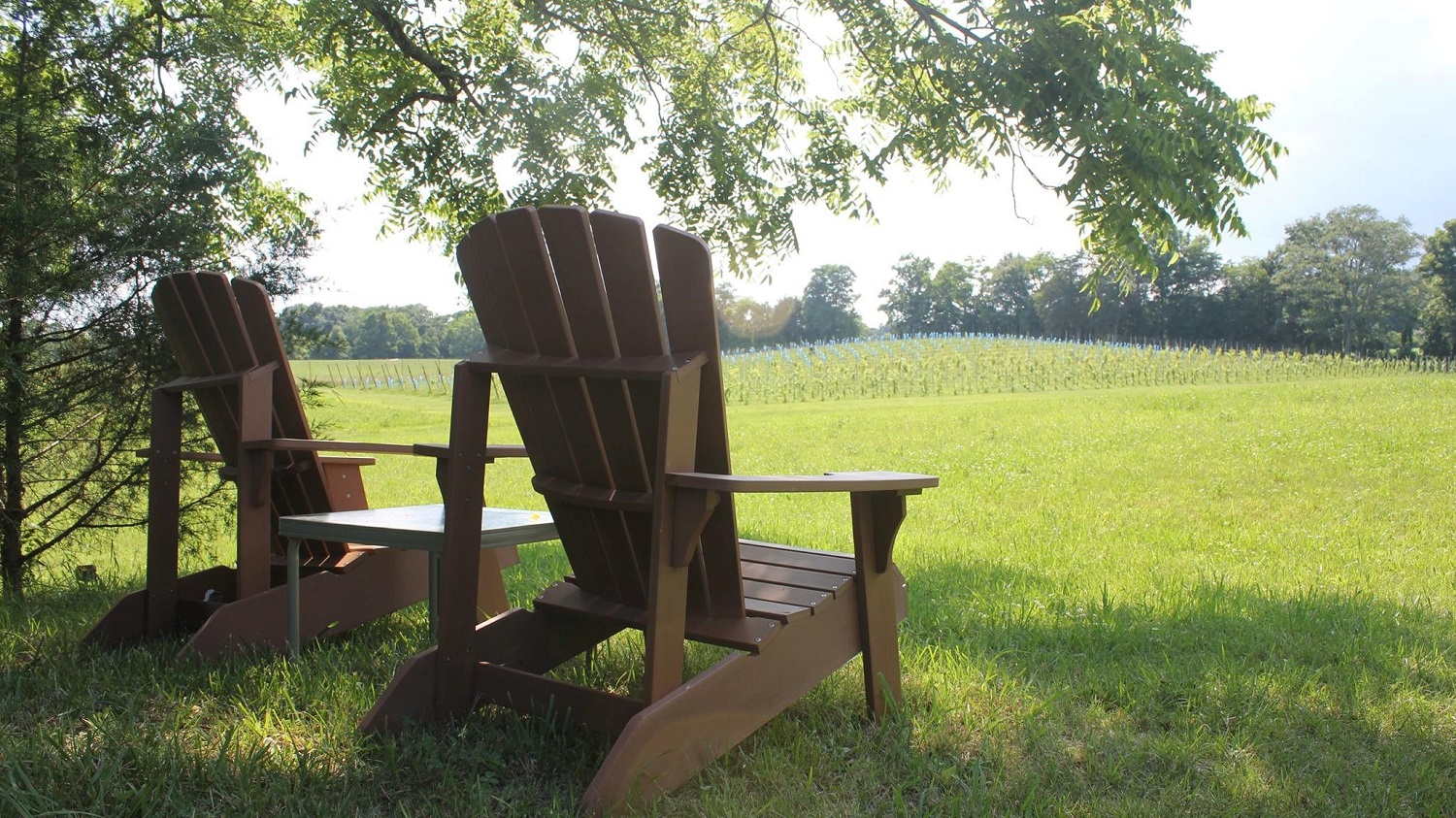 Summer chairs overlooking the vineyard