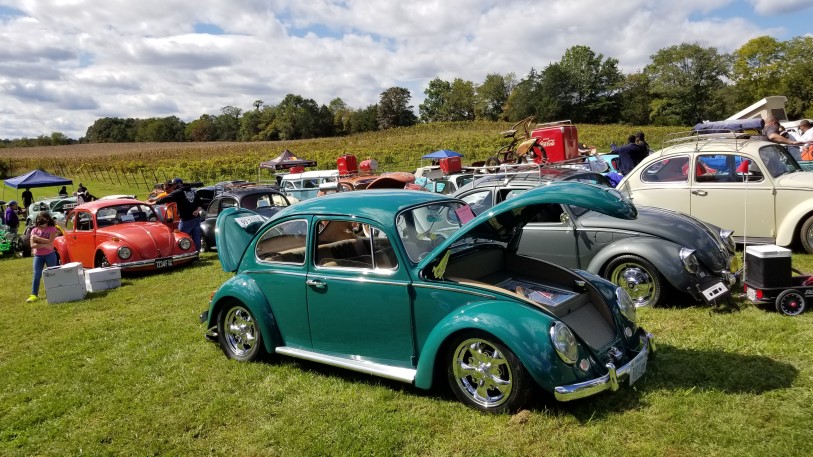 Car show at the winery