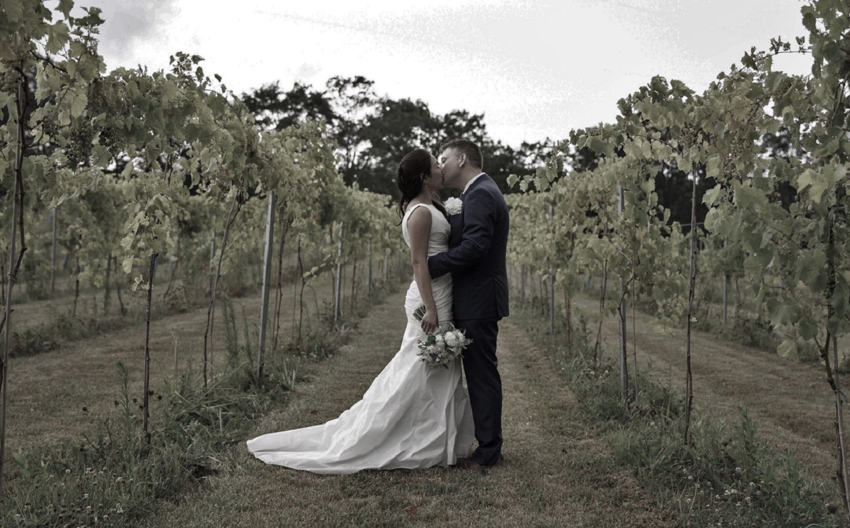 View More: http://meganreiphotography.pass.us/jenn-and-doug Weddings at Mountain Run Winery