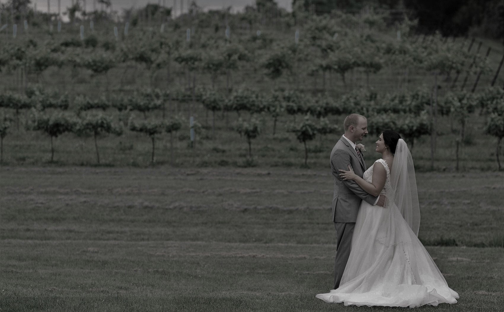 View More: http://liebphotographic.pass.us/laurenandericsweddingday Weddings at Mountain Run Winery