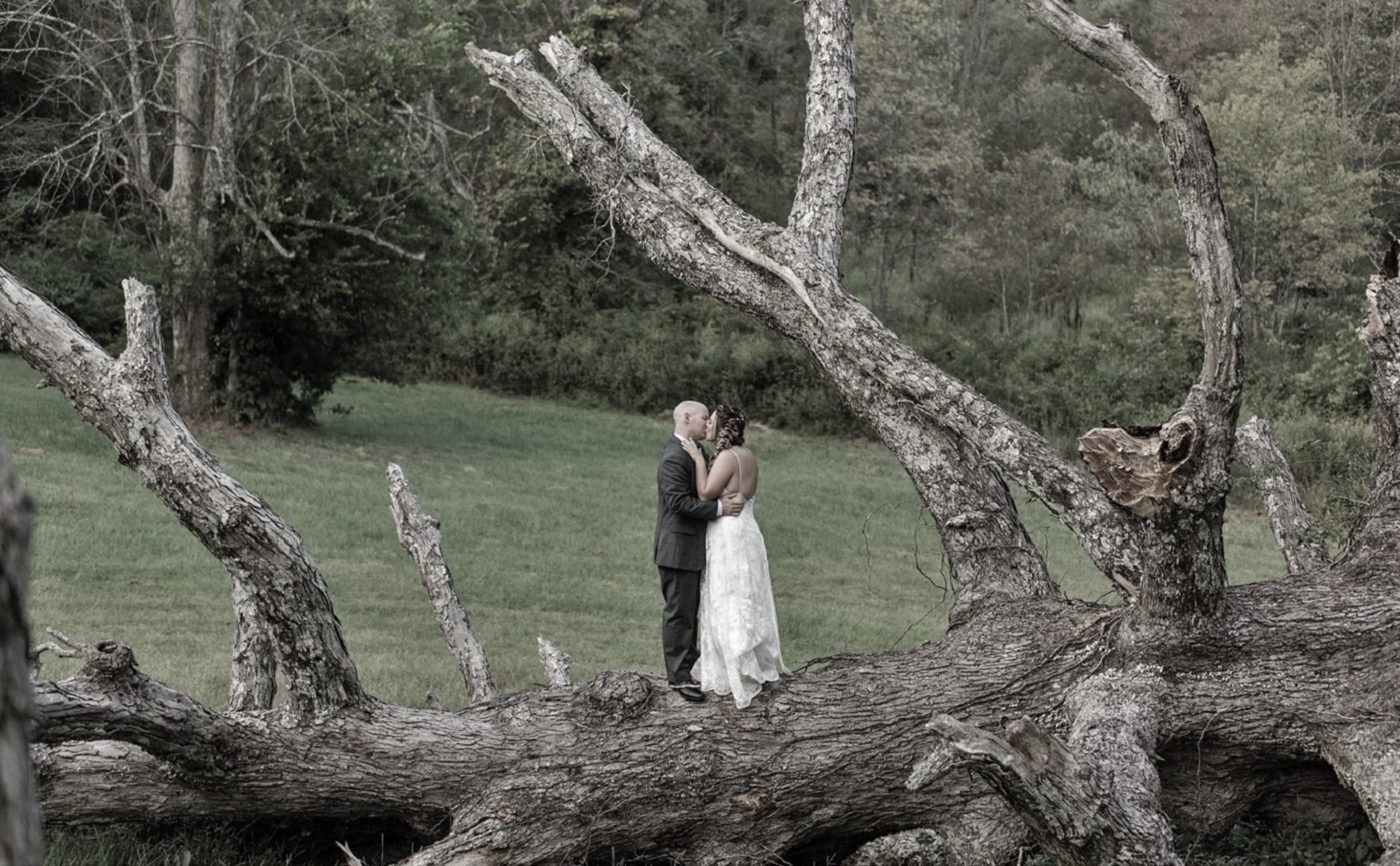 Tansy and Tom Weddings at Mountain Run Winery