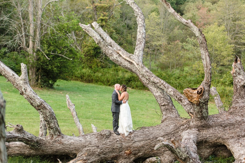Weddings Wedding Look Book at Mountain Run Winery: Couple kissing while standing on fallen tree