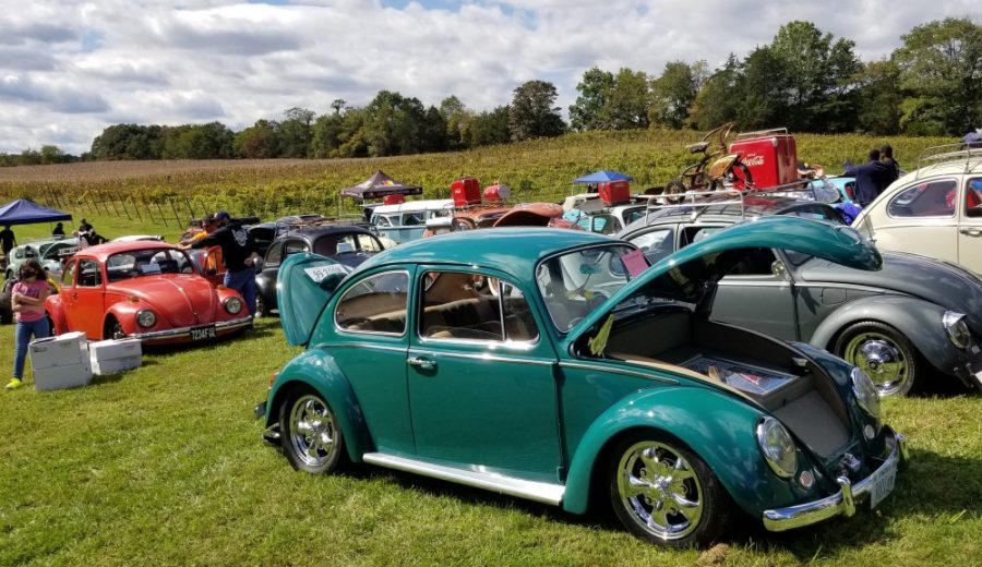 Volkswagon show at Mountain Run Winery