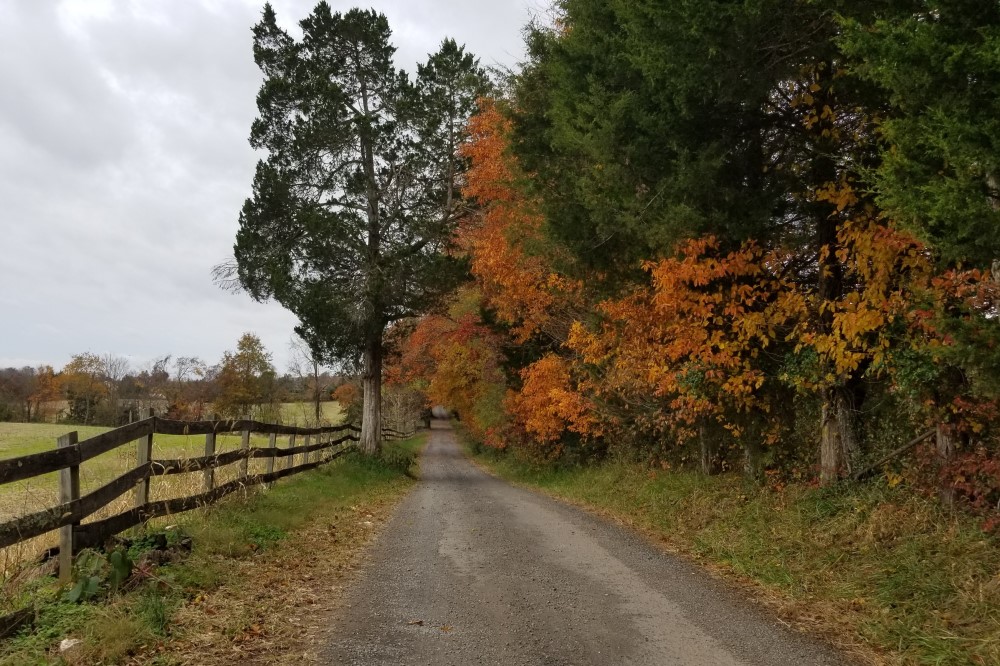 Wedding Look Book at Mountain Run Winery: Couple entering barn during rainstorm