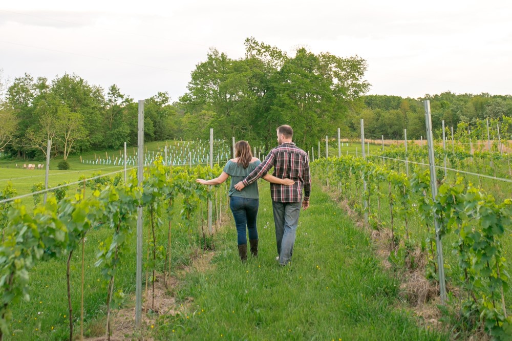 Wedding Look Book at Mountain Run Winery: DJ during dance party at winery