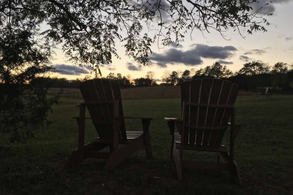 Wedding Look Book at Mountain Run Winery: Couple walking near vineyard