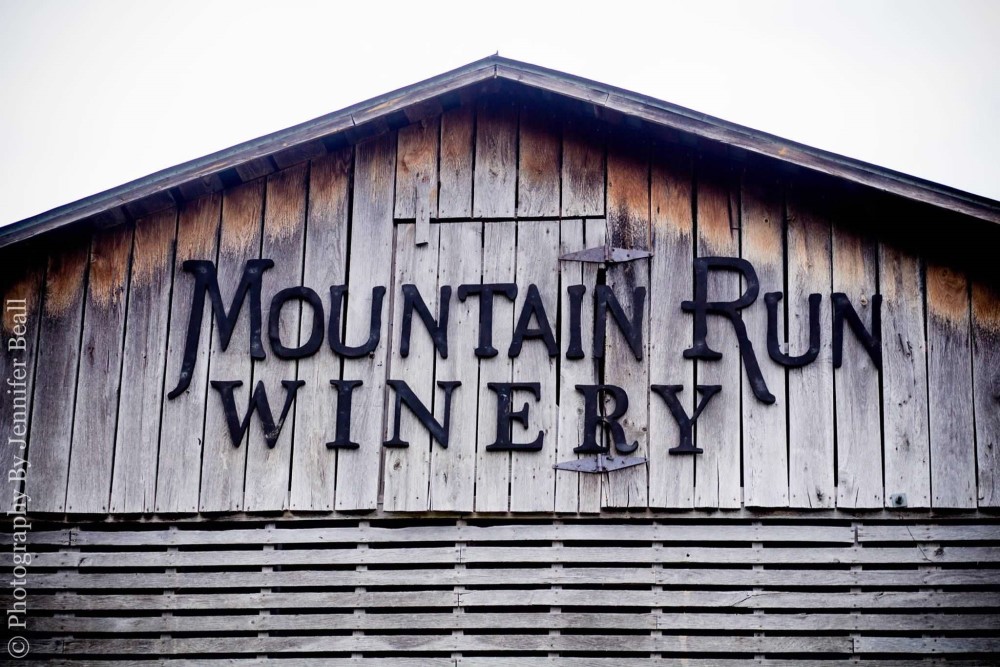 Wedding Look Book at Mountain Run Winery: groom party laughing