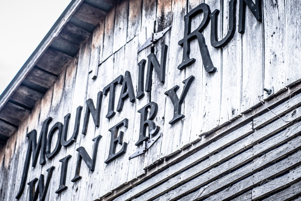 Wedding Look Book at Mountain Run Winery: Couple kissing in vineyard