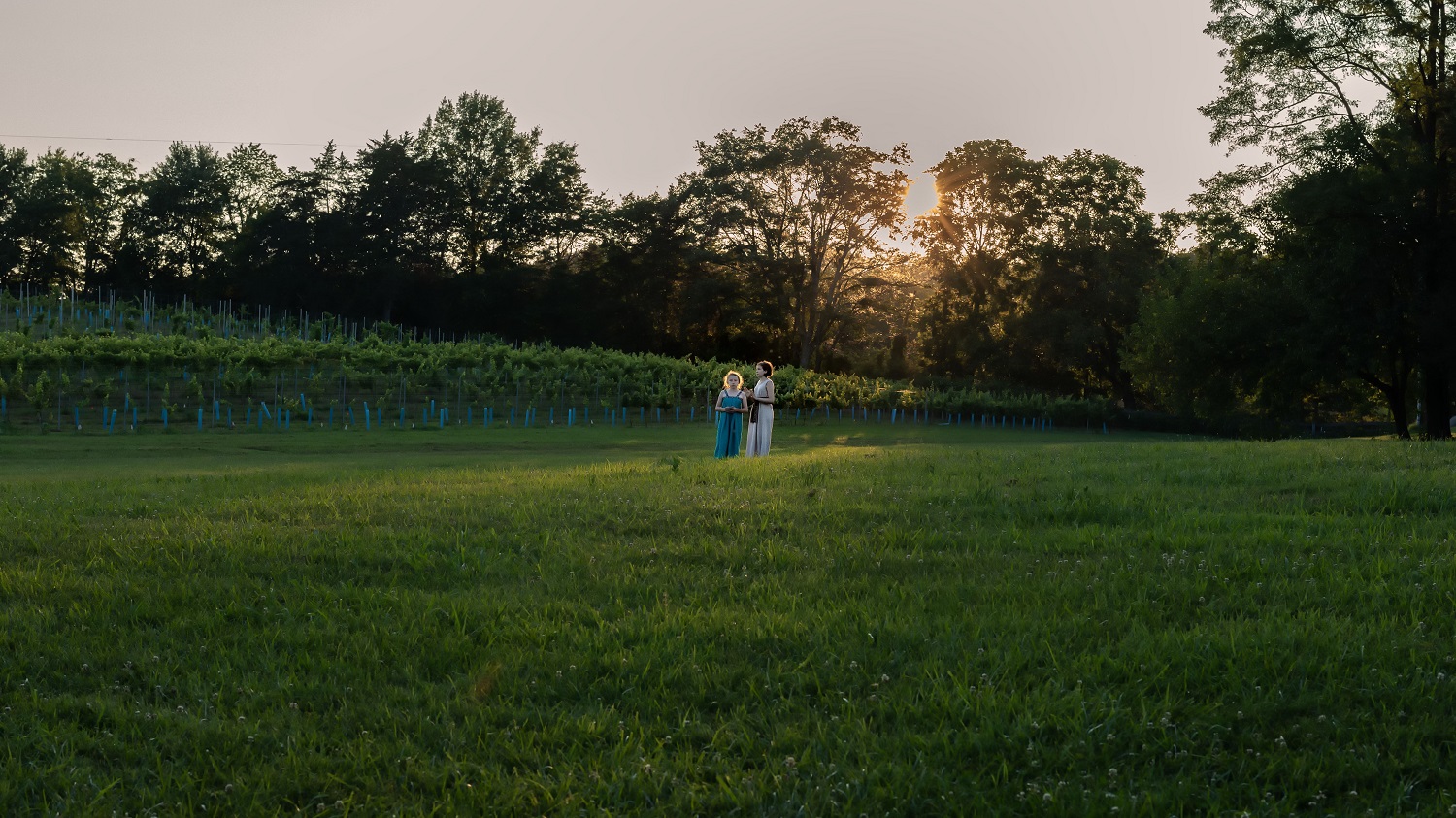 Girls in the vineyard