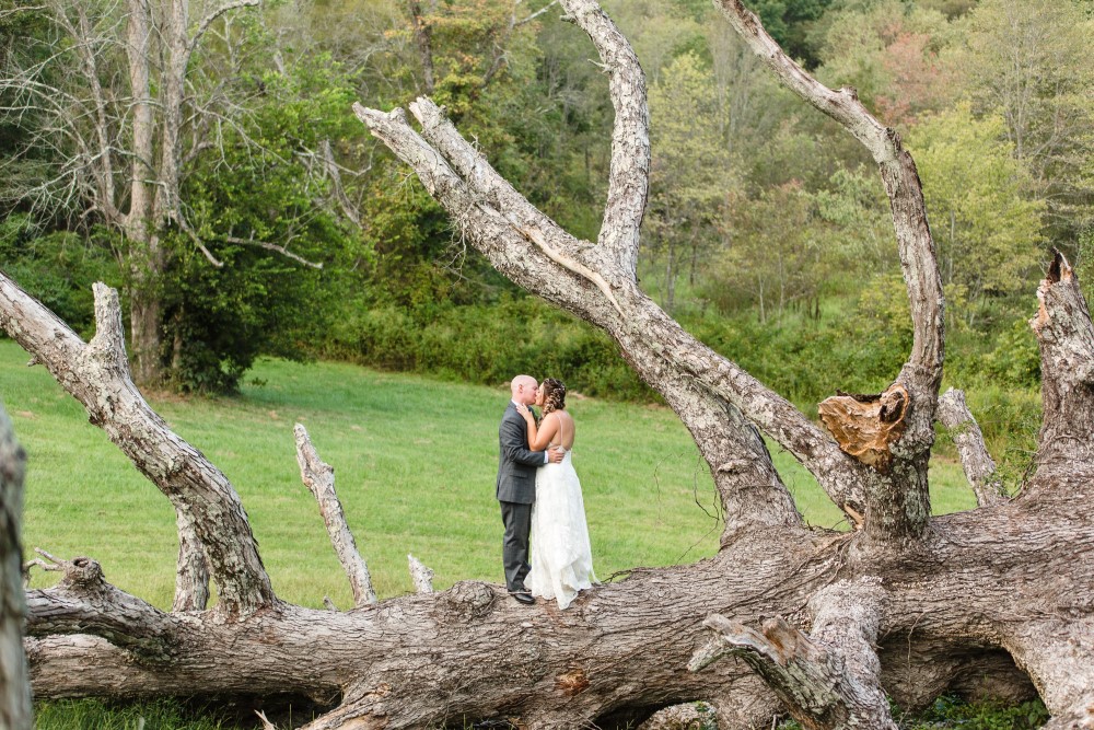 Wedding Look Book at Mountain Run Winery: Couple kissing while standing on fallen tree